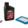 Briggs & Stratton Motorplejesæt Til 625E,650E,675 - Danatek -Have & Park Butik 474 3.png.mst