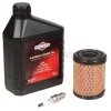 Briggs & Stratton Tuningssæt Model 21 - Danatek