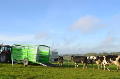 BETIMAX R - Danatek -Have & Park Butik betr5 1