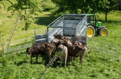 BETIMAX RDS - Danatek -Have & Park Butik rds5 1.png.mst