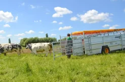 BETIMAX RDS - Danatek -Have & Park Butik rds6 1.png.mst